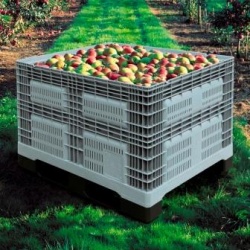 збільшити зображення Пластикові ящики для овочів і фруктів - асортимент. 