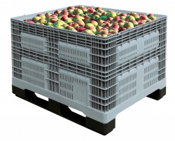 увеличить изображение Пластиковые ящики для овощей и фруктов PALOX на паллетном основании купить в Украине с доставкой. 