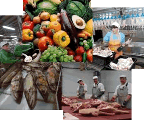 Колеса и ролики в пищевой промышленности